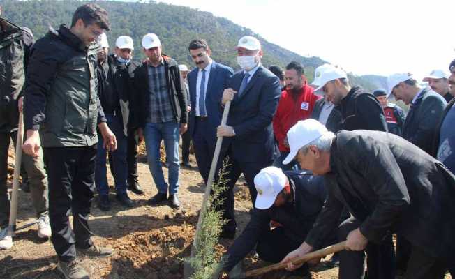 Bozyazı’da fidan dikim etkinliği