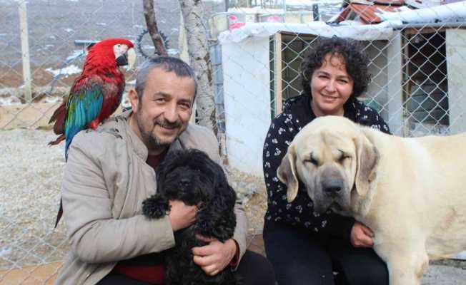 Bu aile çok renkli: Onlarca farklı türden oluşan 30’dan fazla hayvana ev sahipliği yapıyorlar