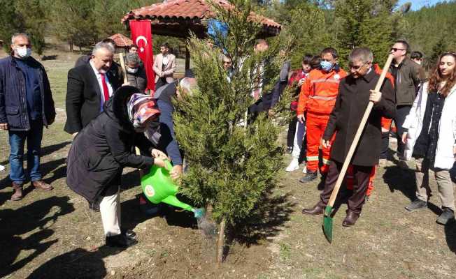 Bu fidanlar şehitlerin adıyla büyüyecek