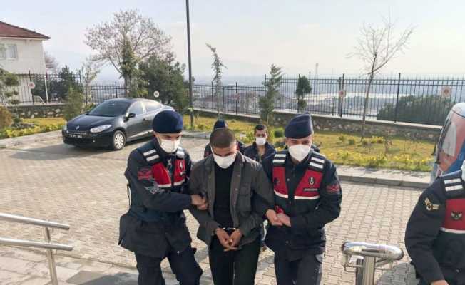 Bursa’da 4 kamyonet zeytin fidanını çaldılar, jandarmadan kaçamadılar