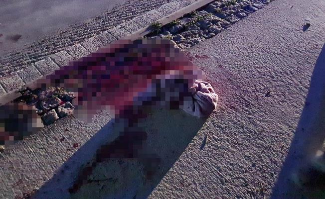 40 kişi birbirine girdi, ortalık savaş alanına döndü