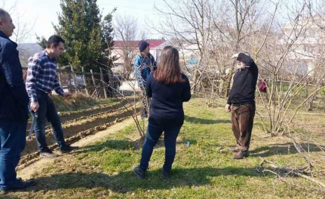 Çiftçilere tarlada fındık budama ve gübreleme eğitimi