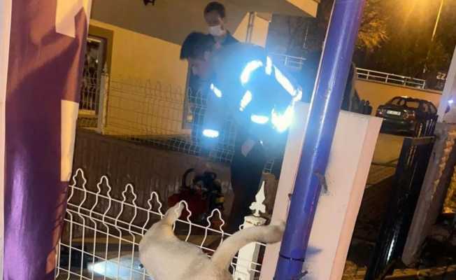 Demir parmaklıklara takılan köpeği itfaiye ekipleri kurtardı