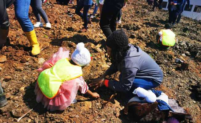 Denizlili minikler Marmaris’te 500 fidanı toprakla buluşturdu