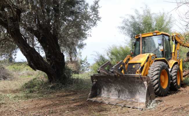 Didim Belediyesi orman yangınlarına karşı çalışmalarını sürdürüyor