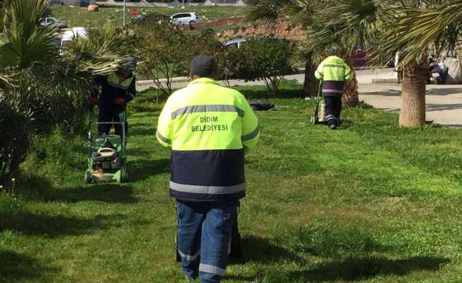 Didim’de yeşil alanlarda çalışmalar devam ediyor