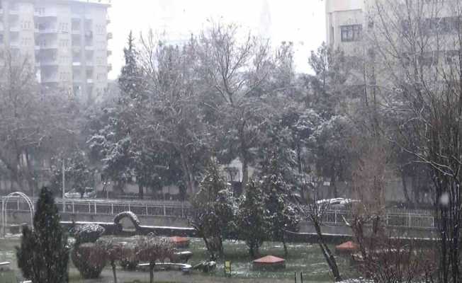Diyarbakır, Mart ortasında beyaza büründü