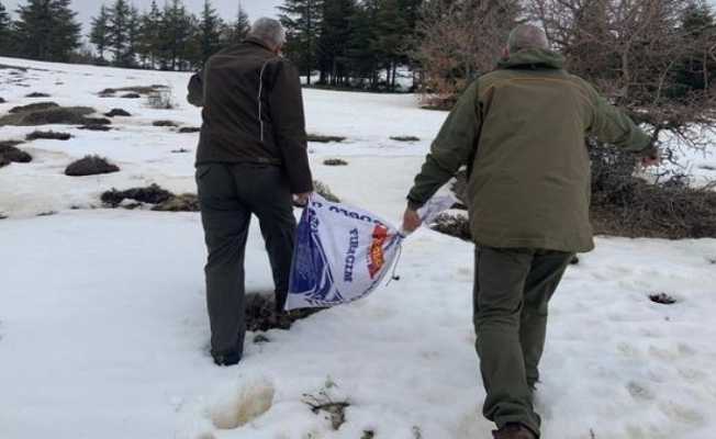 Elazığ’da yaban hayvanları için doğaya yem bırakıldı