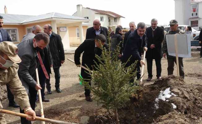 Erciş’te fidan dikimi