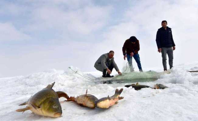 Erzincan’da nisandan haziran ayının sonuna kadar sazan avı yasaklandı