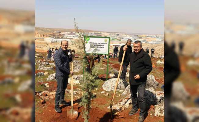 GAİB adına hatıra ormanı kuruldu