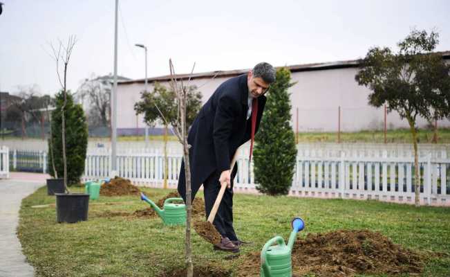 Herkes dalından yesin diye yüzlerce kiraz ve vişne ekildi