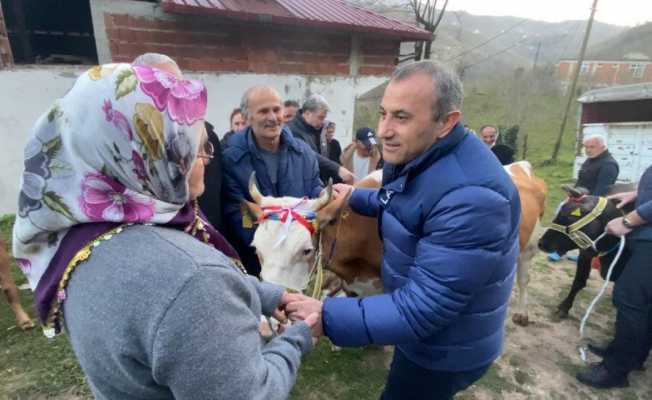 Heyelanda hayvanlarını kaybeden aileye Vali Sonel’den yeni hayvan desteği