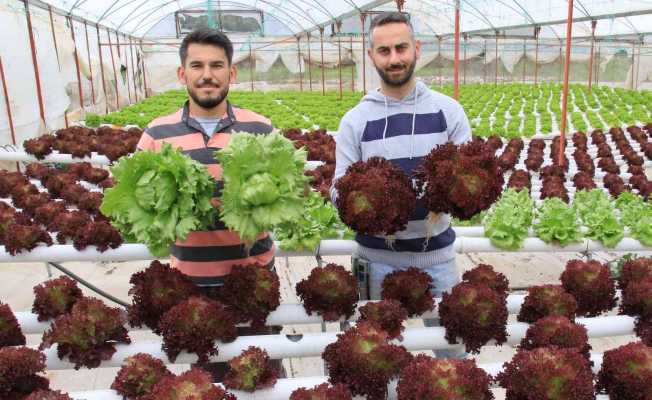 İşçiliği bırakıp çiftçiliğe başladılar, yılda 8 hasat yapıyorlar
