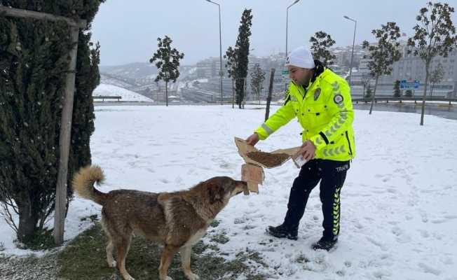 İstanbul polisi hem yolda kalanlara yardım etti, hem de sokak hayvanlarını besledi