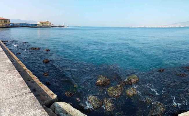 İzmir Körfezi’nde su seviyesi 80 santimetre düştü, deniz ulaşımı aksadı