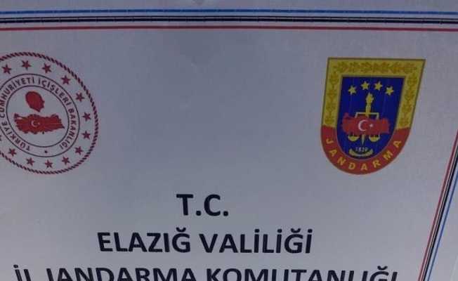 Jandarmadan tarihi eser operasyonu: 2 gözaltı
