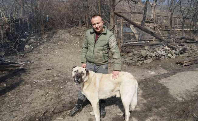 Kendilerini yangından kurtaran köpeği gözyaşları içinde sevdiler