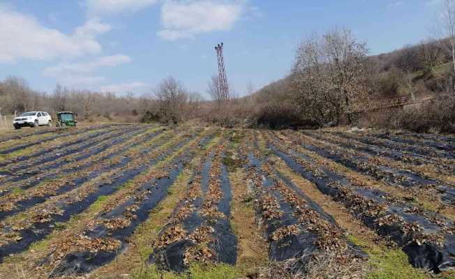 Kırklareli’nde üreticiler bilgilendiriliyor