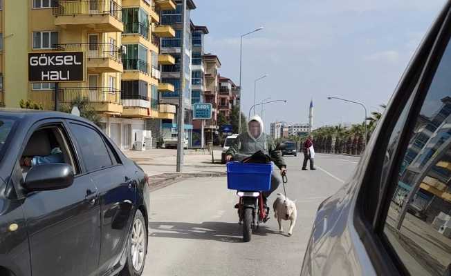 Köpeği motora bağlayıp sürüklerken gazeteciye saldırdı