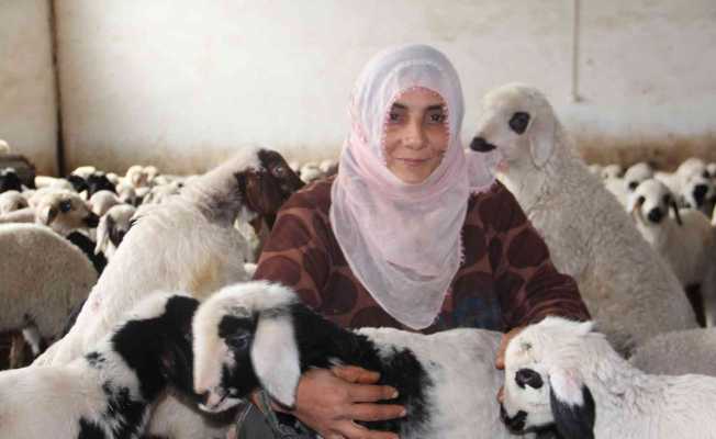 Köye yerleşen 3 çocuk annesi kadın devletten aldığı destekle çiftlik kurdu