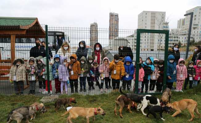 Küçükçekmece’de can dostlar için gelen 65 bin talep değerlendirildi