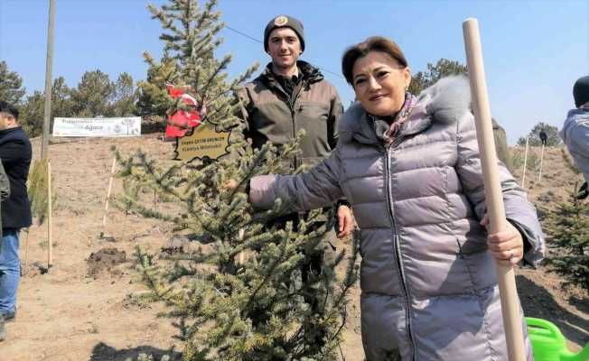 "Kütahya, orman ve tabiat varlığı bakımından Türkiye ve dünya ortalamasının üzerinde"
