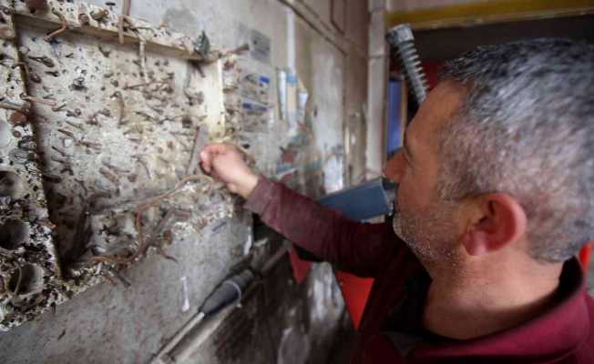 Lastik tamircisinin ilginç koleksiyonu