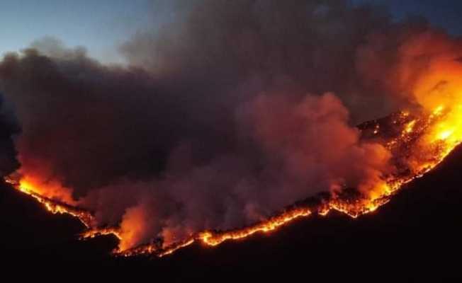 Meksika’da 33 ayrı noktada aktif orman yangını bildirildi