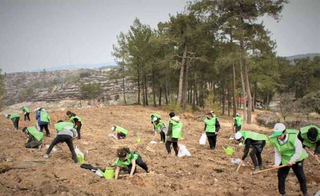 Milas’ta binlerce fidan toprakla buluştu