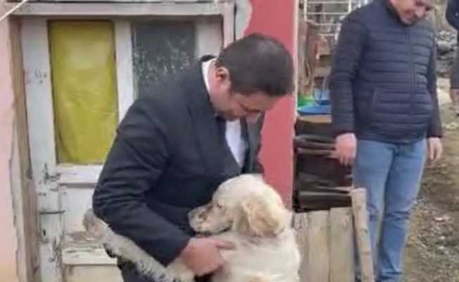 Milletvekilinin merhameti ve kurtardığı köpeğin sadakati duygulandırdı