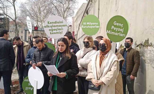 Mimari ve Şehircilik Platformu’ndan İBB’ye "Çınar ağacı’ tepkisi