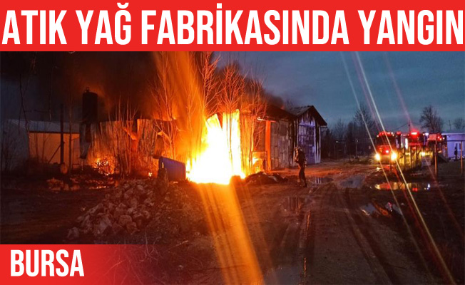 Nilüfer'de Atık Yağ Fabrikasında Yangın Çıktı