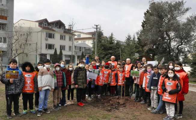 Öğrenciler, kiraz fidanı dikti