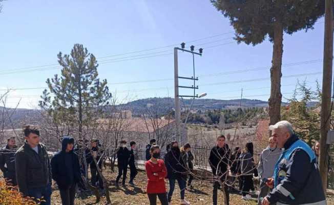 Öğrencilere meyve bahçelerinde bakım, budama ve gübreleme eğitimi