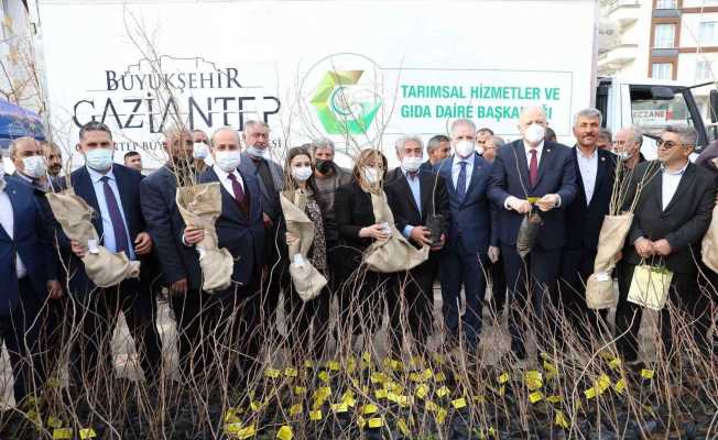Oğuzeli’nde çiftçiye 15 bin nar ve 10 bin Antep fıstığı fidanı dağıtıldı