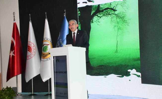 Orman Genel Müdürü Bekir Karacabey: "Türkiye dünyada en fazla ağaçlandırma yapan ülkelerden biri"