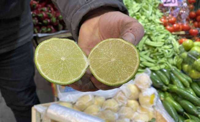 Oteller kasa kasa alıyor, lime limonuna talep yoğun