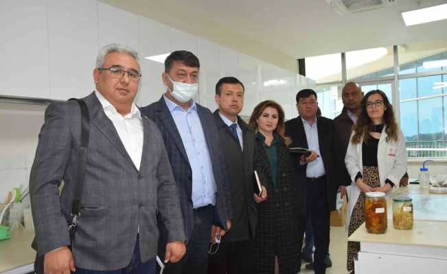 Özbekistan Tarım Bakanlığı heyeti BATEM’de