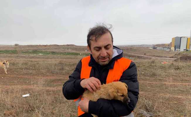(ÖZEL) Her gün 50 kilometre yol giderek 400 köpeği besliyorlar