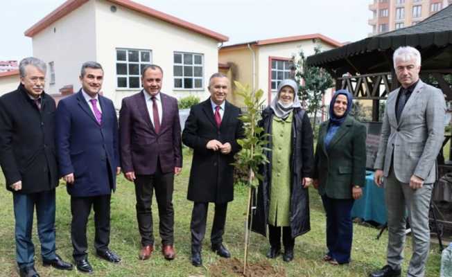 Rize’de okul bahçelerine meyve fidanları dikildi