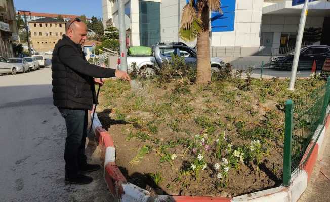 Samandağ’da çevre düzenlemesi çalışmaları