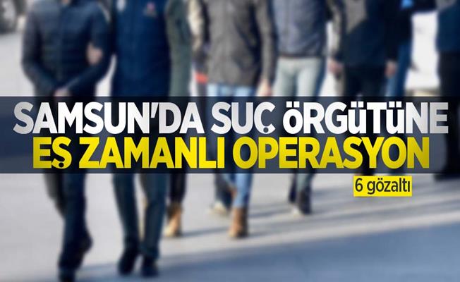 Samsun’da suç örgütüne operasyon: 6 gözaltı
