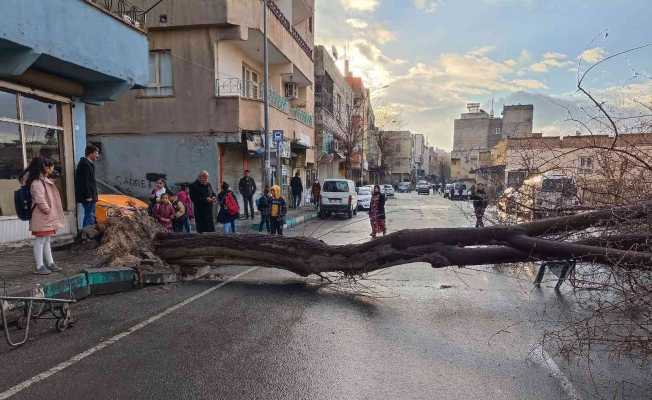 Şanlıurfa’da faciadan dönüldü