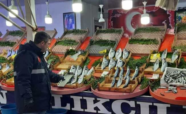 Saray’da göletler ve balıkçılar denetlendi