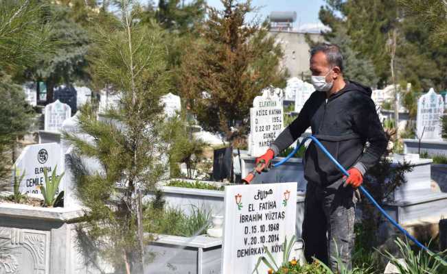 Siirt’te mezarlıklarda ilaçlama çalışması