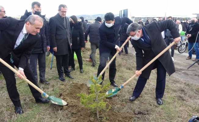 Sinop’ta 400 fidan toprakla buluştu