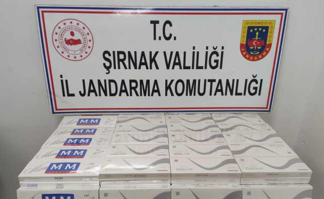 Şırnak’ta uyuşturucu ve kaçakçılık operasyonu: 4 kişi tutuklandı
