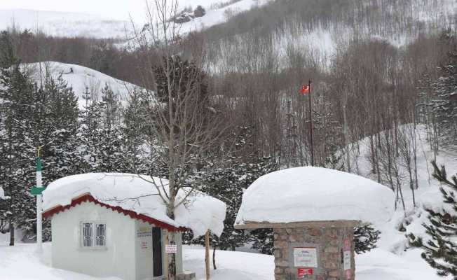 Sivas’ta zemheri bahar, hayat buz tuttu
