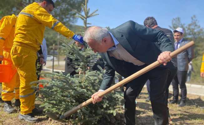 Taşova’da Orman Haftası’nda fidan diktiler